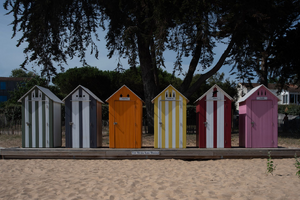 Désinsectisation dératisation La Seyne-sur-Mer